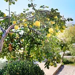 Vincent With Beautiful Sea View Terrace Apartamento