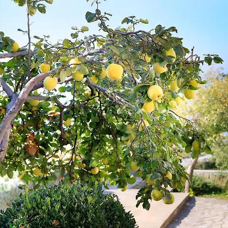 Vincent With Beautiful Sea View Terrace Lejlighed